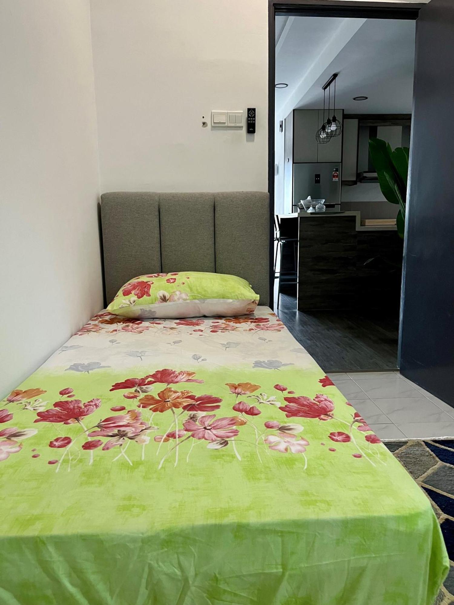The Comfy Apartment